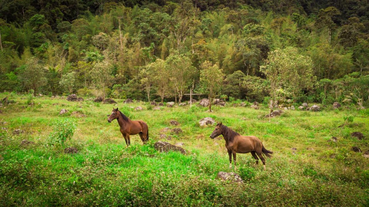 Sacha Urco Lodge Y Bosque Protector Mindo Eksteriør billede